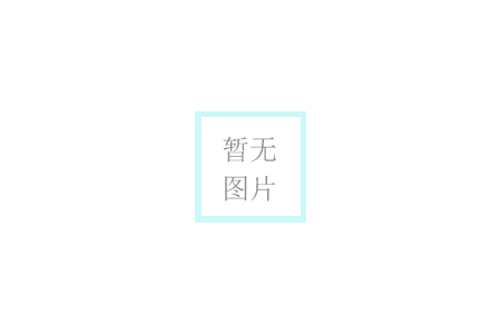 【回首·展望】砥礪2024，闊步2025，特萊得一直在路上！